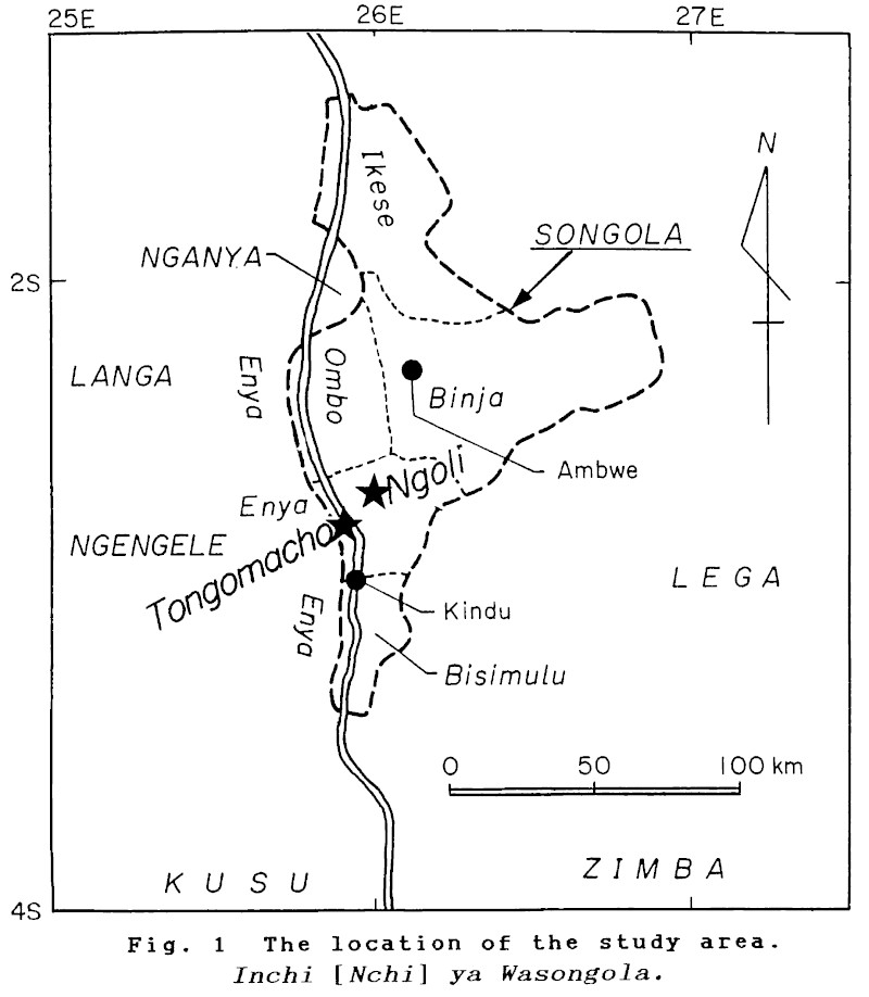 Les groupes Songola